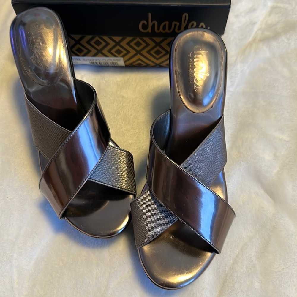 Charles David Women’s Wedge Sandals